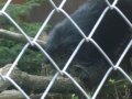 IMGP0859.JPG